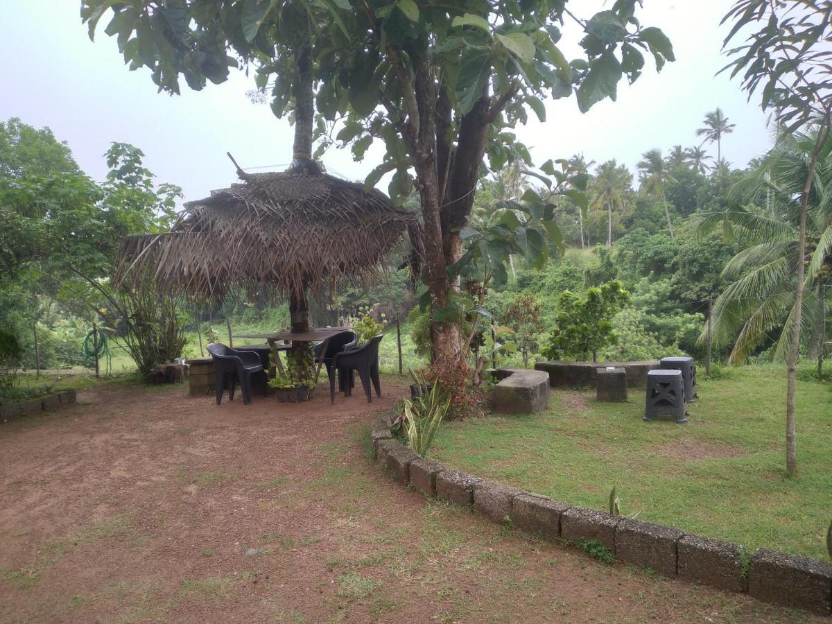 Joseph Dale Homestay Varkala Exterior foto