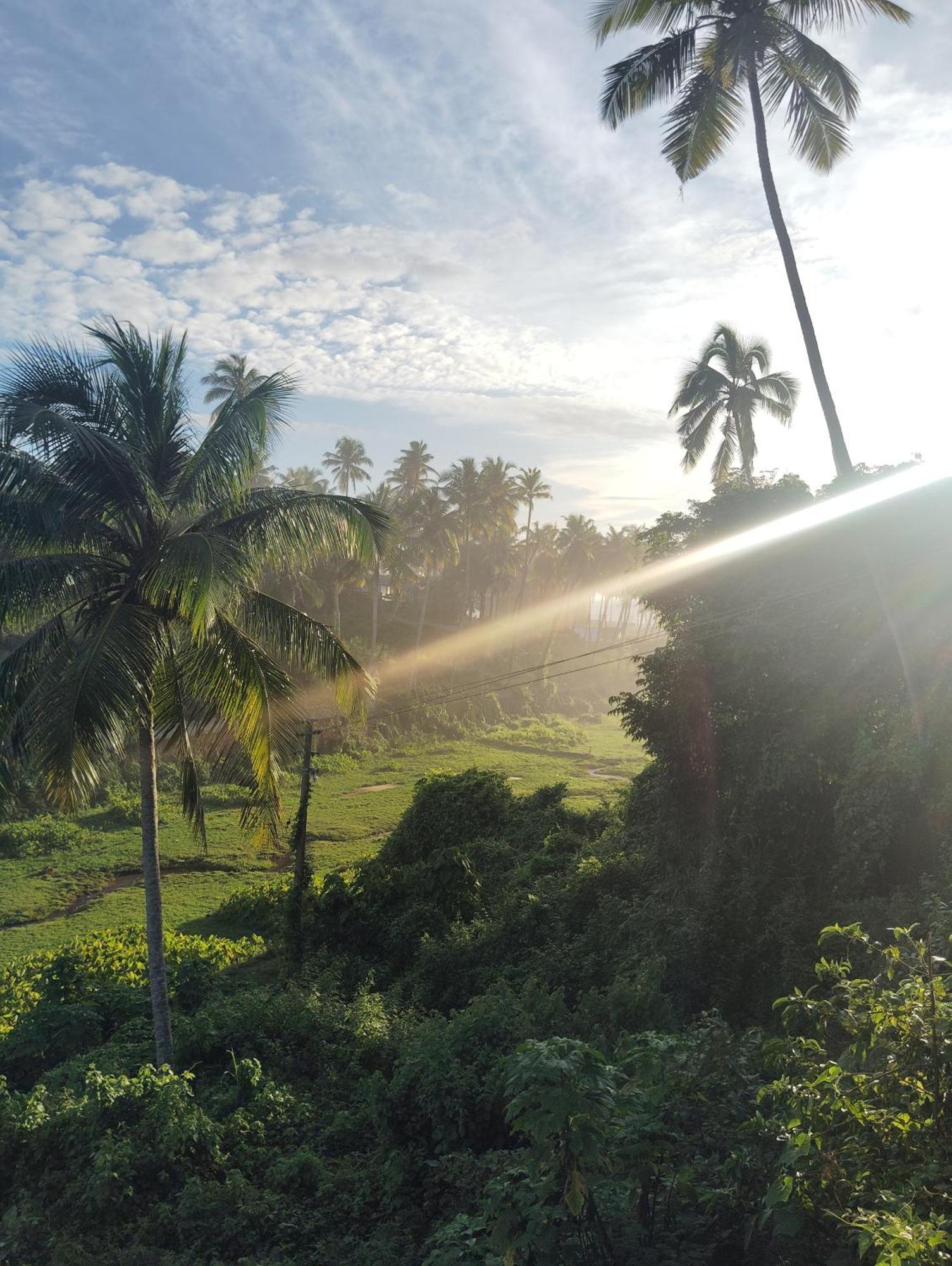 Joseph Dale Homestay Varkala Exterior foto